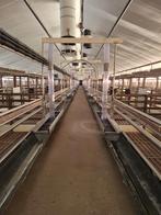 Kalverstalinrichting, Dieren en Toebehoren, Stalling