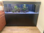 Compleet aquarium 170 cm, Dieren en Toebehoren, Vissen | Aquaria en Toebehoren, Ophalen, Gebruikt, Gevuld zoetwateraquarium