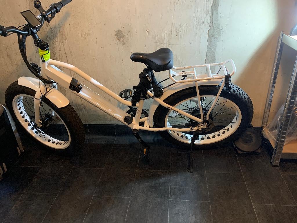 Electrische damesfiets, Fietsen en Brommers, Fietsen | Dames | Damesfietsen, Gebruikt, Overige merken, (Extra) lage instap, Versnellingen