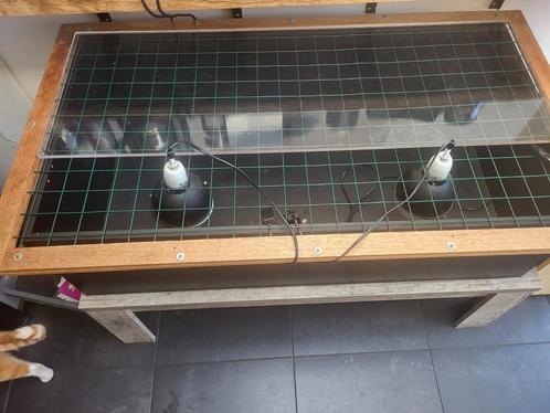 Binnenverblijf voor reptielen, Dieren en Toebehoren, Reptielen en Amfibieën | Toebehoren, Zo goed als nieuw, Terrarium of Paludarium