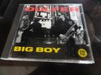 CD Dulfer - Big Boy, Jazz, Zo goed als nieuw, Verzenden, 1980 tot heden