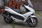 honda pcx125, Scooter, Particulier, 125 cc, 1 cilinder