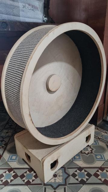 Katten renwiel  beschikbaar voor biedingen