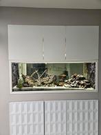 Aquarium leeg 160x50x70cm, Dieren en Toebehoren, Ophalen, Gebruikt, Leeg aquarium