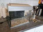 Superfish aquarium 20 liter inclusief lamp/grind/wand, Dieren en Toebehoren, Vissen | Aquaria en Toebehoren, Ophalen of Verzenden