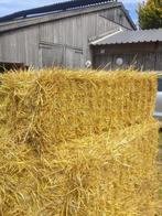 Stro, Dieren en Toebehoren, Stalling en Weidegang, Stalling