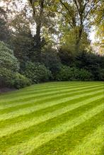 ️Gras verticuteren️, Garantie, Tuinontwerp