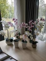 Hele mooie kunststof orchideeën, Ophalen, Overige soorten, Halfschaduw, Minder dan 100 cm
