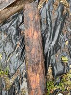 10 Bulk Wood for Sale – Ideal for Garden Paths or Firewood!, Tuin en Terras, Ophalen of Verzenden, Gebruikt, Minder dan 180 cm