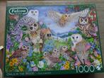 Falcon uilen puzzel 1000 stukjes, Gebruikt, 500 t/m 1500 stukjes, Legpuzzel, Ophalen