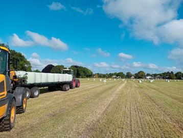 Super mooie midi balen hooi, 0% onkruid geen zand(16-5-2025) beschikbaar voor biedingen