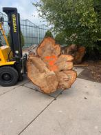 Zeer mooie grote iepen stam 300cm x80 cm, Minder dan 3 m³, Ophalen of Verzenden