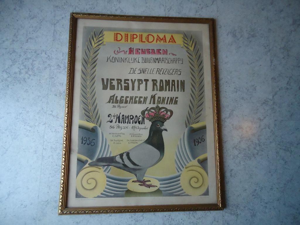 Diploma prijs 2e kampioen Duivensport  Heusden1956 in lijst, Antiek en Kunst, Curiosa en Brocante, Verzenden