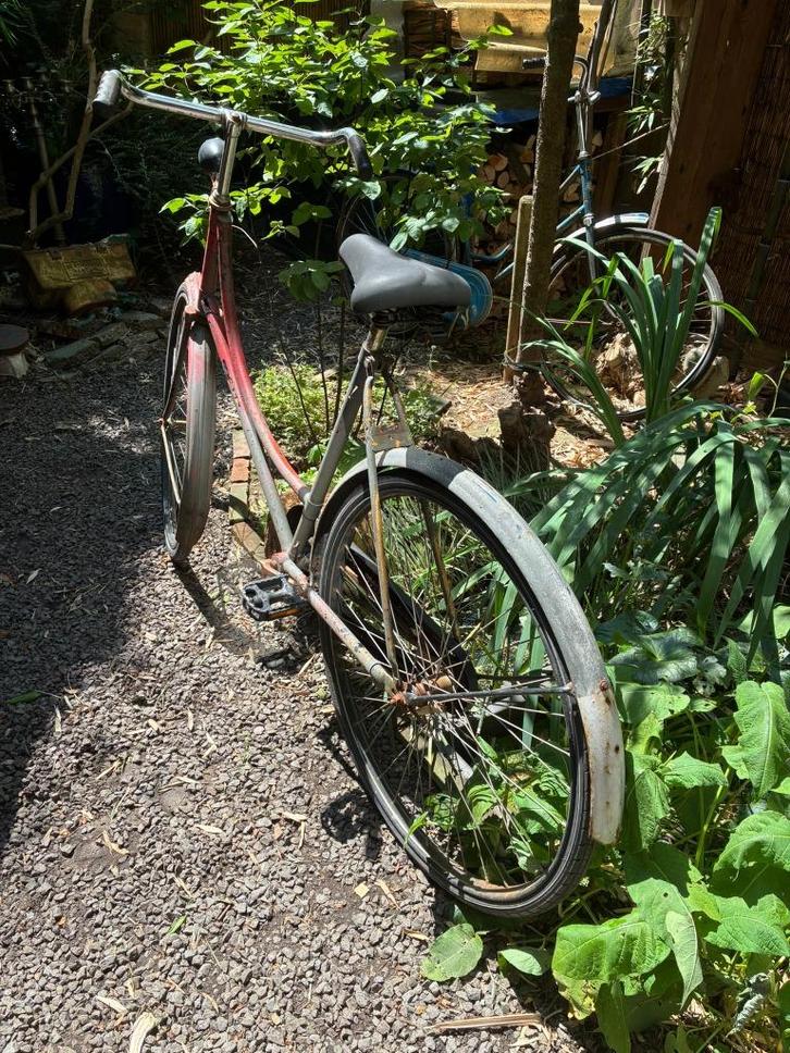 stadsfiets damesfiets omafiets, Fietsen en Brommers, Fietsen | Dames | Omafietsen, Gebruikt, Versnellingen, Ophalen