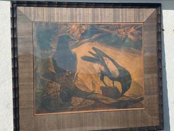 A J van ‘t Hoff grote kleuren litho twee Eksters jaren 30 beschikbaar voor biedingen