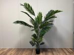 Palm boom kunstboom (diverse afmetingen), In pot, Bloeit niet, Halfschaduw, Ophalen of Verzenden