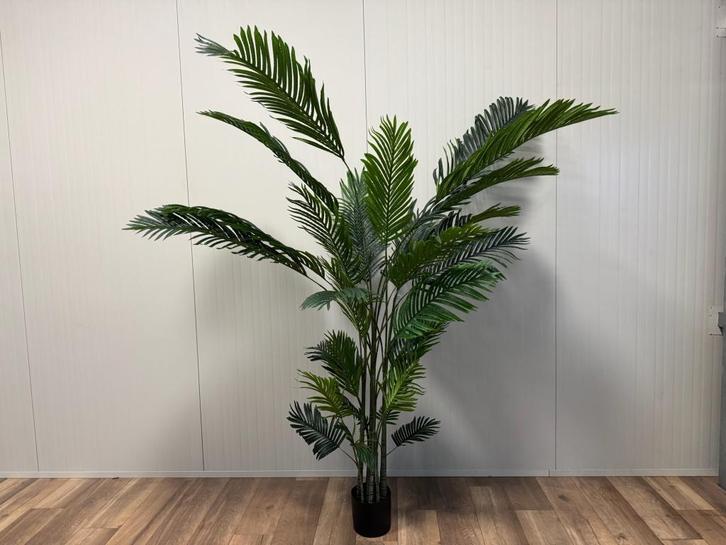 Palm boom kunstboom (diverse afmetingen), Tuin en Terras, Planten | Bomen, Palmboom, 100 tot 250 cm, Halfschaduw, Bloeit niet