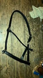 Zwart leren halster, Dieren en Toebehoren, Ophalen of Verzenden, Nieuw, Overige soorten