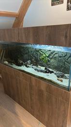 Zoetwater aquarium op maat, Dieren en Toebehoren, Vissen | Aquaria en Toebehoren, Ophalen of Verzenden, Zo goed als nieuw, Leeg aquarium