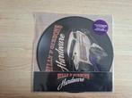 Billy f gibbons (zztop) hardware picture disc, Ophalen of Verzenden, Zo goed als nieuw, 12 inch, Poprock