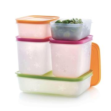 Tupperware Diepvries Set beschikbaar voor biedingen