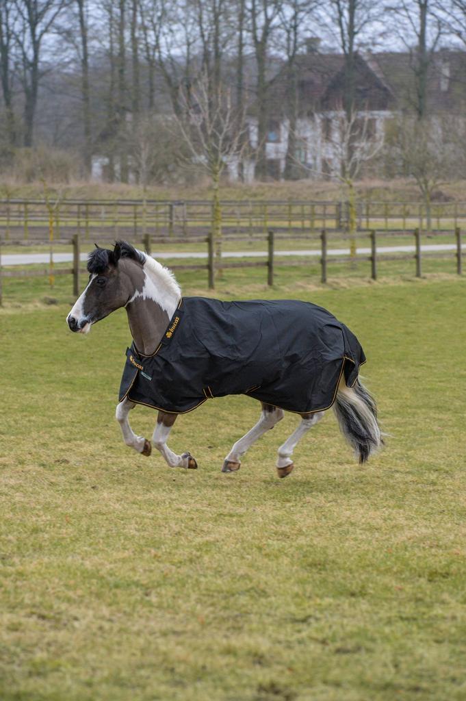 NIEUWE Bucas Irish Turnout Extra 300g waterdichte deken 3’9”, Dieren en Toebehoren, Paarden en Pony's | Dekens en Dekjes, Nieuw