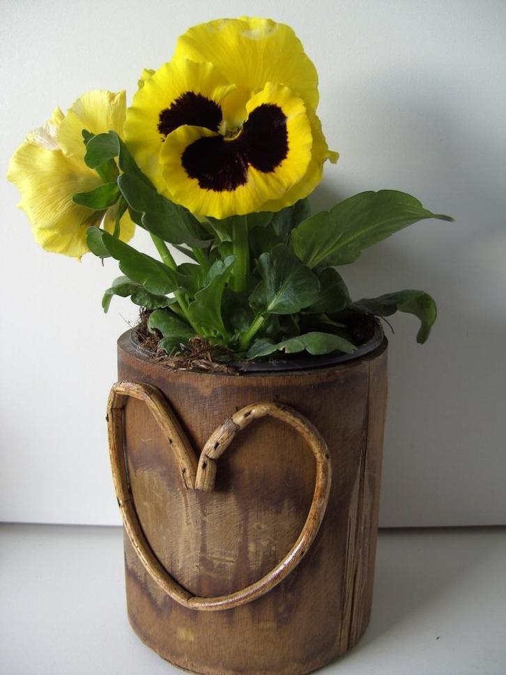 BLOEM/ BAMBOE BAKJES MET HART (40 stuks), Tuin en Terras, Bloempotten, Nieuw, Overige materialen, Binnen, Minder dan 40 cm, Minder dan 25 cm