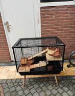 Hamster of cavia kooi in zeer goede staat 20 euro, Dieren en Toebehoren, Kooi, Zo goed als nieuw, Hamster, 75 tot 110 cm
