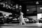 Volvo S60 2.0 T5 R-Design Sport 251Pk Automaat (APPLE CARPLA, Auto's, Volvo, 12 maanden, 15 km/l, 1800 kg, 4 cilinders