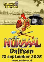 5 tickets normaal in dalfsen, Tickets en Kaartjes, Twee personen