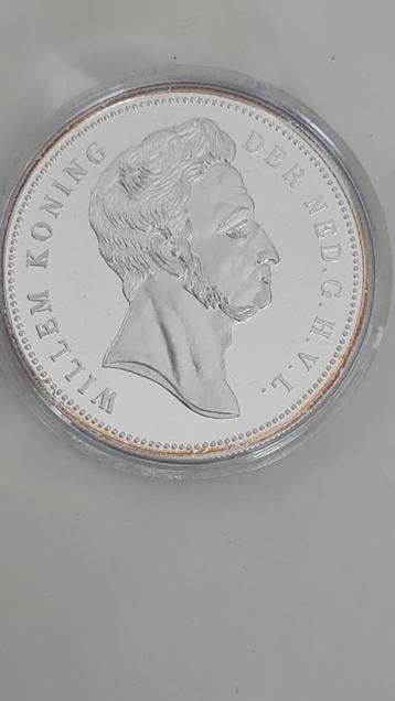 Replica Zilver- 31.1 gr - 1 Gulden Willem Ill (1867) capsule beschikbaar voor biedingen