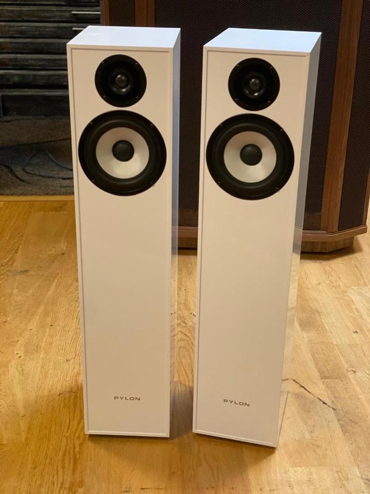 Pylon Pearl 20, Audio, Tv en Foto, Luidsprekers, Gebruikt, Front, Rear of Stereo speakers, Overige merken, Ophalen
