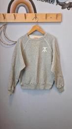 The Animals Observatory sweater maat 10 jaar, Gebruikt, Trui of Vest, Ophalen of Verzenden, Jongen of Meisje