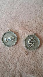 2 sterrenwacht hangers, Ophalen of Verzenden, Nieuw, Zilver, Overige materialen