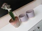 Bloempotten inclusief cactus, Tuin en Terras, Rond, Ophalen of Verzenden, Zo goed als nieuw, Aardewerk
