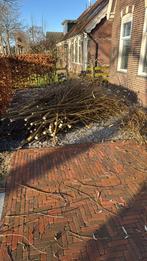 Wilgentakken op te halen, Tuin en Terras, Minder dan 3 m³, Ophalen, Overige houtsoorten, Takken
