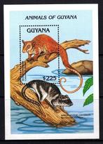 GUYANA 24 - Dieren: zoogdieren (wolhaarbuidelrat), Ophalen of Verzenden, Postfris, Dier of Natuur