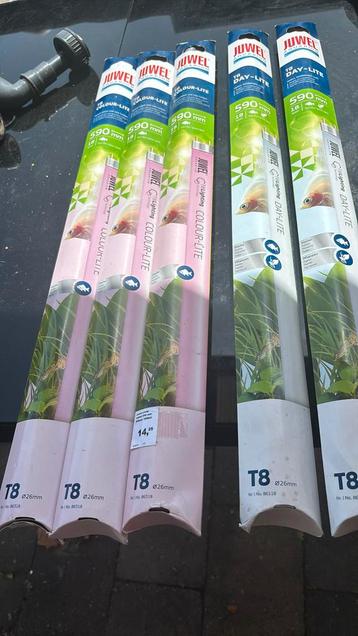 Juwel T8 TL verlichting nieuw in doos beschikbaar voor biedingen