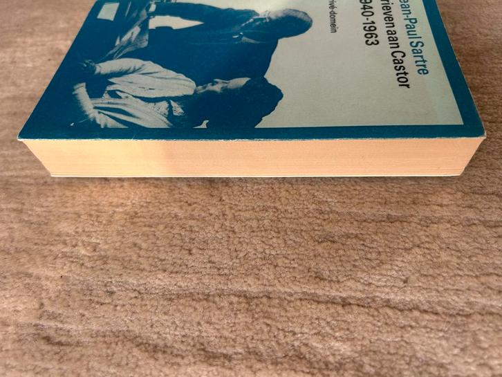 Jean Paul Sartre - Brieven aan Castor (Privé-domein), Boeken, Biografieën, Zo goed als nieuw, Kunst en Cultuur, Ophalen of Verzenden