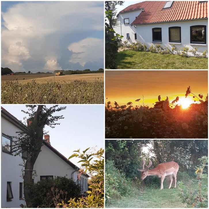 Woonboerderij met 3 hectare eigen natuurgrond op Langeland, Huizen en Kamers, Buitenland, Overig Europa, Overige soorten, Landelijk