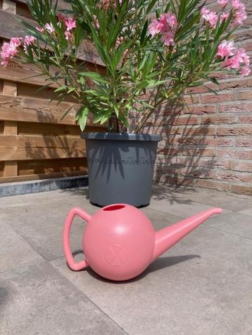 plantengieter beschikbaar voor biedingen