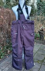 SKIBROEK met bretels ☃️ DARE2BE ☃️ SNOWBOARDEN Mt 40 Paars, Dare2B, Ophalen of Verzenden, Maat 38/40 (M), Broek