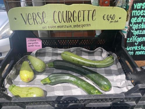 BVerse groenten, fruitplanten, zwarte bes, courgettes, Tuin en Terras, Planten | Struiken en Hagen, Overige soorten, Minder dan 100 cm