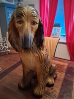 Mooie Afghaanse hond., Huis en Inrichting, Ophalen of Verzenden