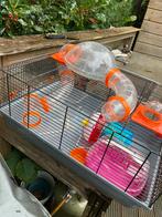 Gratis (dwerg) hamster kooi, rat, huisje, Dieren en Toebehoren, Knaagdieren en Konijnen | Toebehoren, Ophalen of Verzenden, Gebruikt