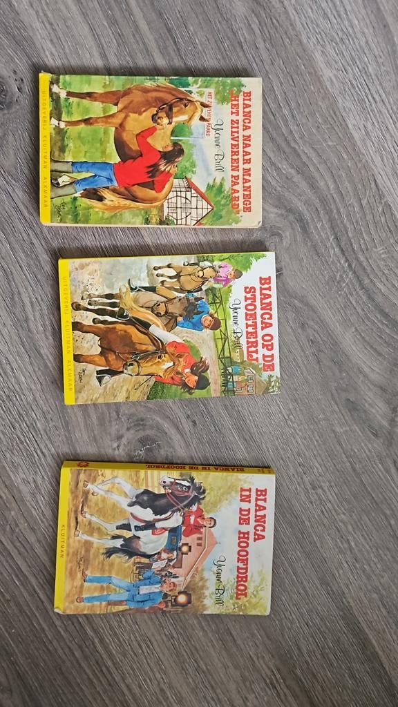 Bianca Boeken Serie - Yvonne Brill, Boeken, Ophalen of Verzenden, Gelezen, Yvonne Brill, Fictie algemeen
