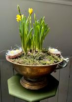 Gezellige voorjaars schaal. Narcis met 2 nestje eieren, Ophalen of Verzenden, Volle zon, Minder dan 100 cm