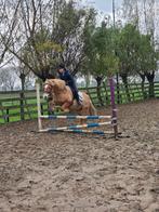 Bijrijder gezocht, Ophalen, Nieuw