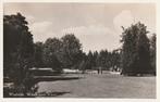 04998 Waalwijk - Wandelpark Vijver, Verzamelen, Ansichtkaarten | Nederland, Verzenden, 1940 tot 1960, Ongelopen, Noord-Brabant
