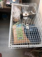Knaagdieren kooi, Minder dan 60 cm, Kooi, Verzenden, Zo goed als nieuw